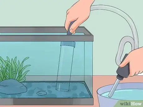 Image intitulée Save a Dying Betta Fish Step 28