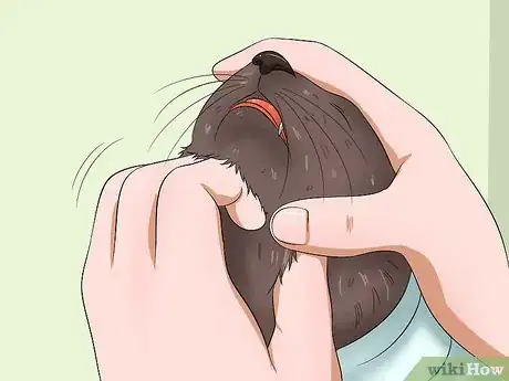 Image intitulée Give a Cat Medicine Step 13