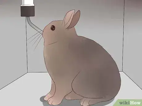 Image intitulée Transport a Rabbit Step 9