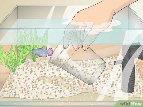 Image intitulée Clean a Betta Fish Tank Step 11