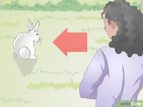 Image intitulée Hold a Rabbit Step 1