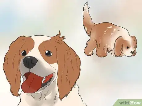 Image intitulée Train Your Dog to Not Run Away Step 17