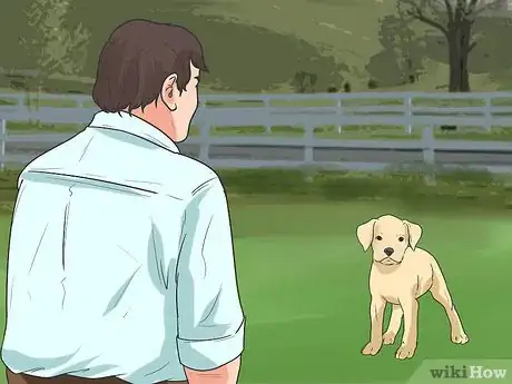 Image intitulée Train Your Dog to Not Run Away Step 16