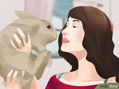 Image intitulée Understand Your Rabbit Step 8