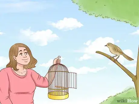 Image intitulée Catch a Bird Step 11