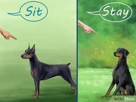 Image intitulée Care for Doberman Pincshers Step 22