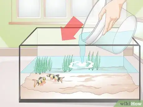 Image intitulée Do a Water Change in a Freshwater Aquarium Step 11