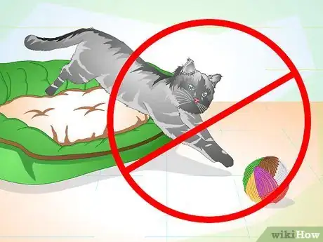 Image intitulée Care for Your Cat After Neutering or Spaying Step 11