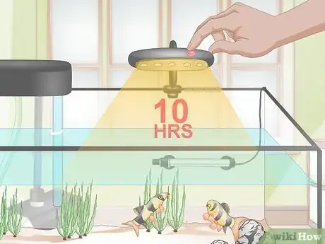 Image intitulée Do a Water Change in a Freshwater Aquarium Step 17