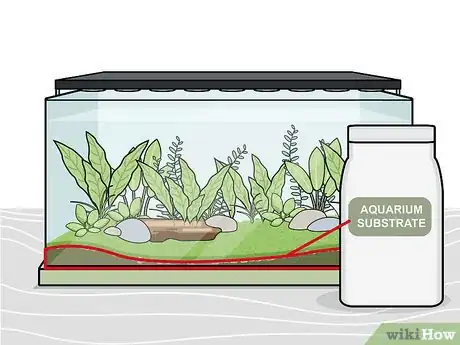 Image intitulée Grow Freshwater Aquarium Plants Step 8
