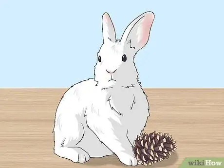 Image intitulée Make Homemade Rabbit Toys Step 4