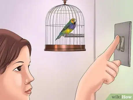 Image intitulée Train a Bird to Step on Your Finger Step 3