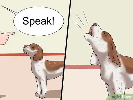Image intitulée Teach Your Dog to Speak Step 11