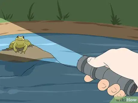 Image intitulée Catch a Frog Step 13