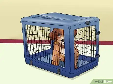 Image intitulée Treat Kennel Cough Step 5