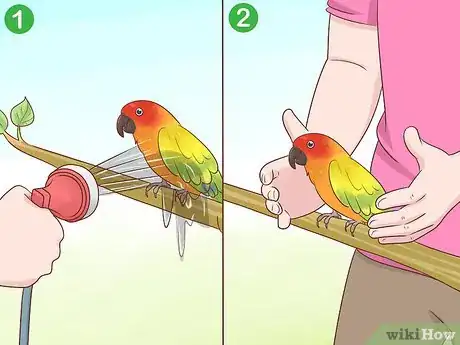 Image intitulée Catch a Bird Step 14