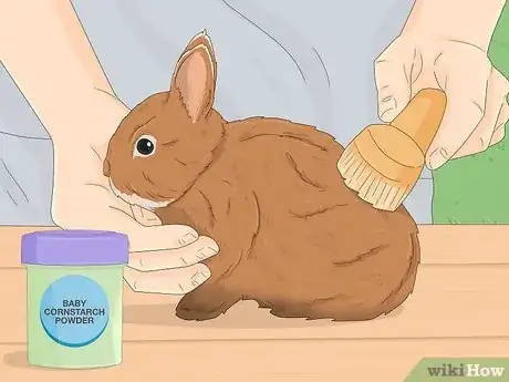 Image intitulée Treat Diarrhea in Rabbits Step 12