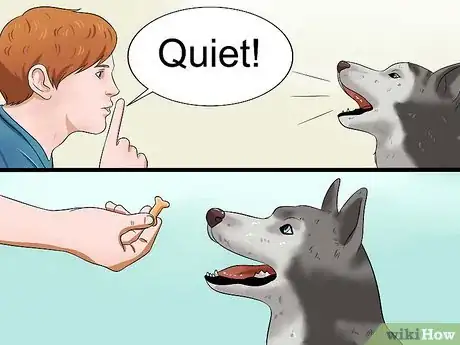 Image intitulée Teach Your Dog to Speak Step 12
