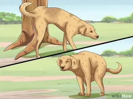 Image intitulée Teach Your Dog to Speak Step 16