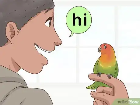 Image intitulée Bond with a Lovebird Step 13