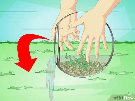 Image intitulée Change the Water in a Fish Bowl Step 6