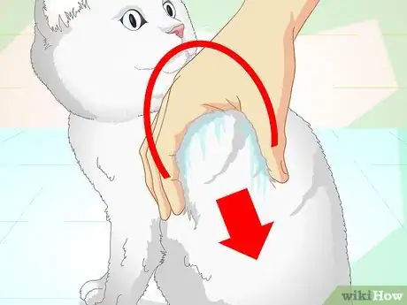 Image intitulée Inconspicuously Bathe a Cat Without Being Scratched Step 11