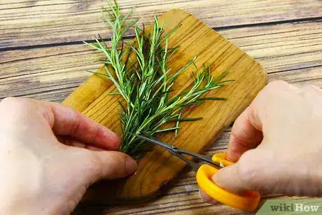 Image intitulée Use Rosemary in Cooking Step 2