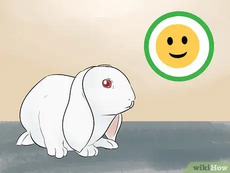 Image intitulée Keep a Rabbit and a Cat Step 1
