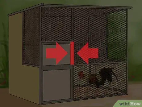 Image intitulée Stop a Rooster from Crowing Step 4