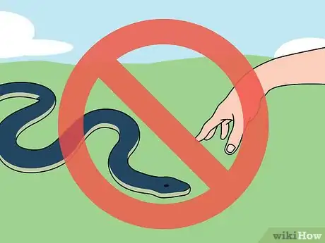 Image intitulée Catch a Snake Step 8