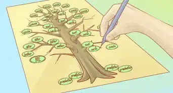 faire un arbre généalogique