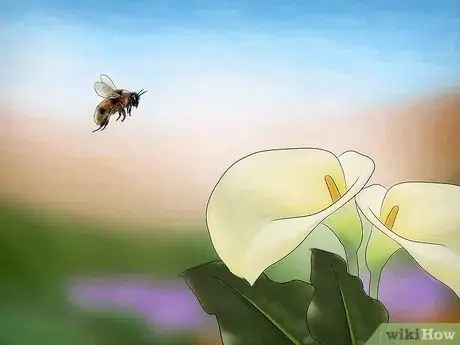 Image intitulée Care for an Injured Honeybee Step 9