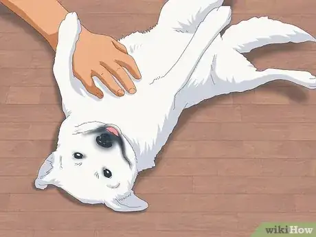 Image intitulée Pet a Dog Step 12