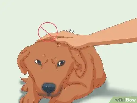 Image intitulée Pet a Dog Step 11