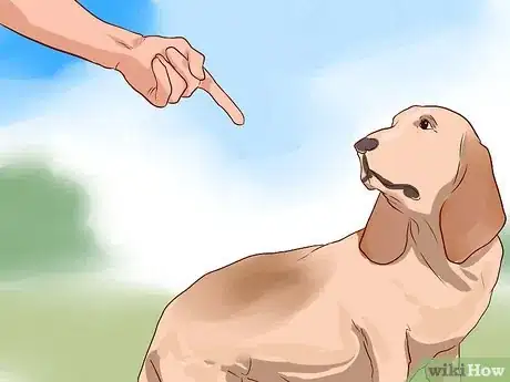 Image intitulée Love Your Dog Step 3