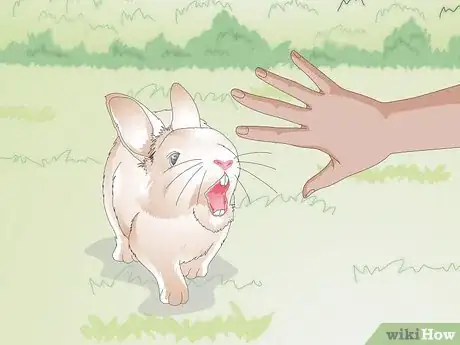 Image intitulée Hold a Rabbit Step 9