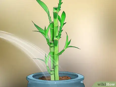 Image intitulée Care for an Indoor Bamboo Plant Step 5