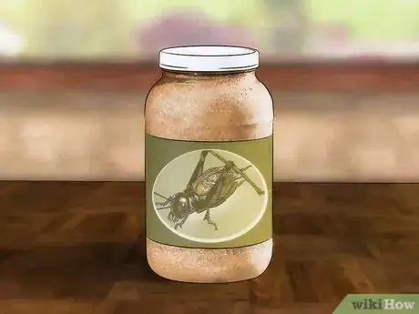Image intitulée Care for Live Crickets for Reptiles Step 6