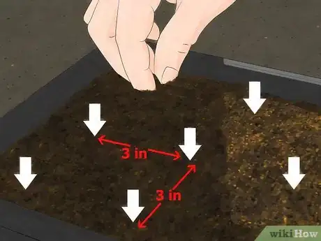 Image intitulée Grow Watercress Step 5