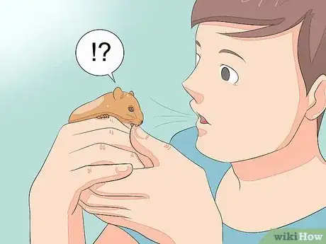 Image intitulée Hold a Hamster Step 12