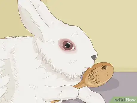 Image intitulée Care for Dwarf Rabbits Step 20
