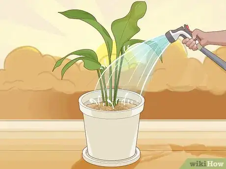 Image intitulée Save an Overwatered Plant Step 16