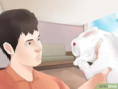 Image intitulée Understand Your Rabbit Step 4
