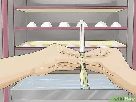 Image intitulée Hatch Turkey Eggs in an Incubator Step 4