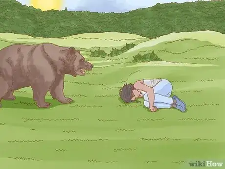 Image intitulée Keep Bears Away Step 24