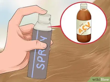 Image intitulée Use Apple Cider Vinegar for Dogs Step 9