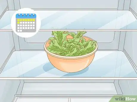 Image intitulée Grow Lettuce Indoors Step 14