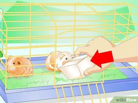 Image intitulée Make Your Guinea Pig Comfortable in Its Cage Step 13