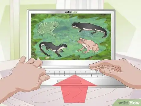 Image intitulée Care for Salamanders Step 13
