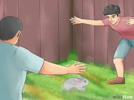 Image intitulée Catch a Pet Rabbit Step 16